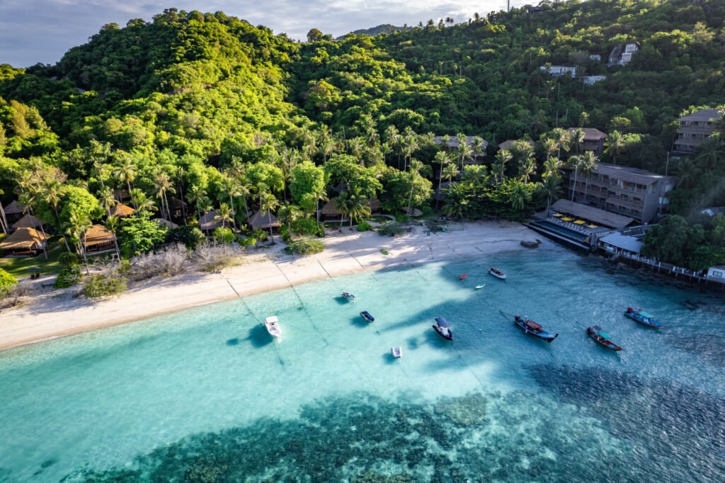 skark bay koh tao